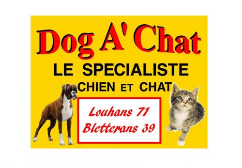 Dog A Chat Fleuriste Jardin Animaux A Bletterans Avis Adresse Telephone Alentoor